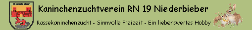 RN19 Banner grn