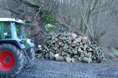 02.04.2005: Nachdem das Holz ...