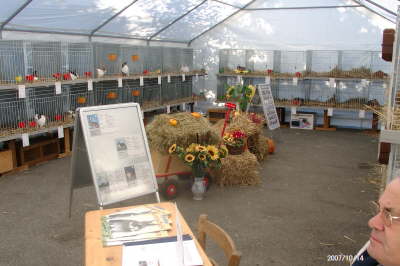 14.10.2007: Die Ausstellung kann beginnen. Alles ist bereit.