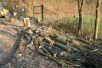 19.03.2005: Bume mussten weichen