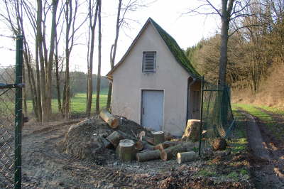 19.03.2005: Bume mussten weichen