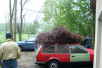 14.05.2005: Neben Anhngern, Schubkarren 