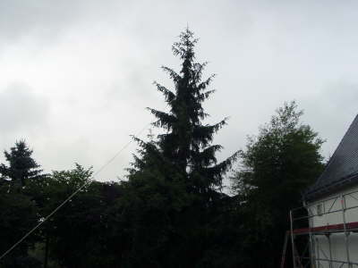 28.06.2003 "Hohe Tannen" 