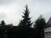 28.06.2003 "Hohe Tannen" 