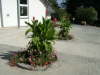 15.07.2003: Die Blumen ...