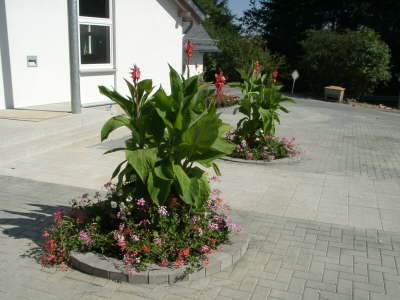 15.07.2003: Die Blumen ...