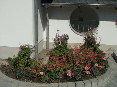 15.07.2003: Die Blumen ...
