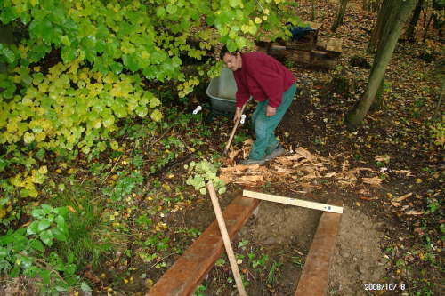 08.10.2008: Ein Baumstumpf,